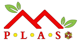 PLASBid Logo