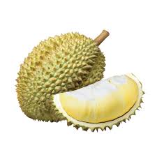 Durian Musang King - Auction